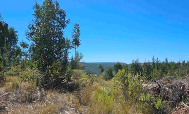 Parcelas en Marchigüe a 40 min de Pichilemu!!!