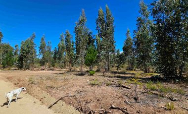 Parcelas en Marchigüe a 40 min de Pichilemu!!!