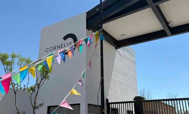 Tú mejor inversión frente a la pirámide y CAM