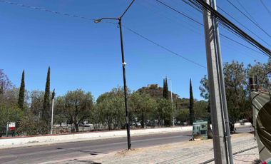 Tú mejor inversión frente a la pirámide y CAM