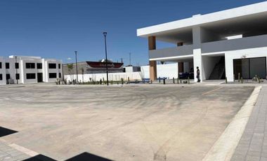Tú mejor inversión frente a la pirámide y CAM