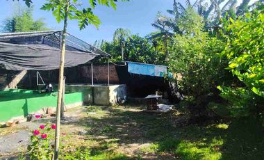 Di JuaL Rumah 0 Jalan Raya Murah Bonus Usaha Kolam Lele + Tanah