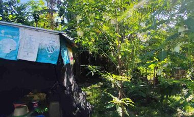 Di JuaL Rumah 0 Jalan Raya Murah Bonus Usaha Kolam Lele + Tanah