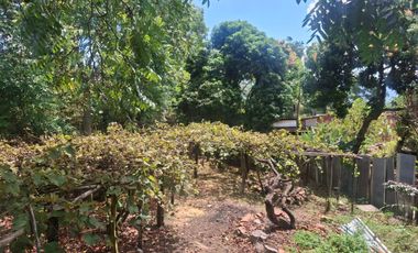 VENTA DE CASA CON HUERTA EN CIUDAD TURISTICA DE LAMAS A 30 MINUTOS DE TARAPOTO