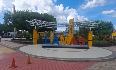 VENTA DE CASA CON HUERTA EN CIUDAD TURISTICA DE LAMAS A 30 MINUTOS DE TARAPOTO