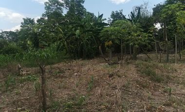VENTA DE TERRENO CON 11,109 MTS² EN PLENA CARRETERA F BELAUNDE DE PICOTA