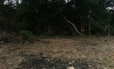 VENTA DE TERRENO CON 11,109 MTS² EN PLENA CARRETERA F BELAUNDE DE PICOTA