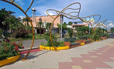 REMATE TERRENO EN RECIEN INAUGURADA AV ALAMEDA LA PERUANIDAD EN TARAPOTO