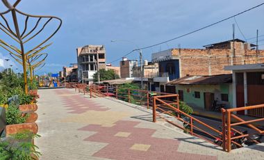 REMATE TERRENO EN RECIEN INAUGURADA AV ALAMEDA LA PERUANIDAD EN TARAPOTO