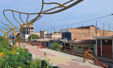 REMATE TERRENO EN RECIEN INAUGURADA AV ALAMEDA LA PERUANIDAD EN TARAPOTO