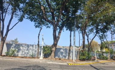 NAVA Hillsborough Living: Residential Lot for Sale