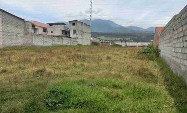 Hermoso terreno plano área de 1.900 metros Urbano con agua de riego en cotacachi Imbabura Ecuador
