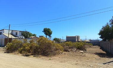 VENTA TERRENO SECTOR LA LADERA - LA HERRADURA, COQUIMBO