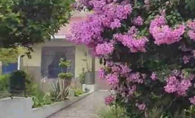 se vende Quinta totalmente equipada en Tumbabiro Urcuqui Imbabura Ecuador con árboles frutales