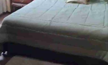 se vende Quinta totalmente equipada en Tumbabiro Urcuqui Imbabura Ecuador con árboles frutales