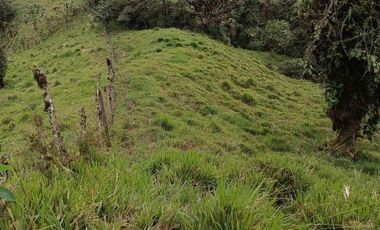 Se vende 39,5 hectáreas, Vía a Pacto, Tulipe recinto Las Tolas