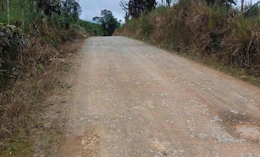 Se vende 39,5 hectáreas, Vía a Pacto, Tulipe recinto Las Tolas