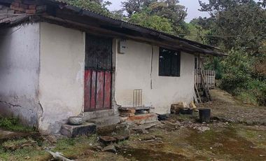 Se vende 39,5 hectáreas, Vía a Pacto, Tulipe recinto Las Tolas