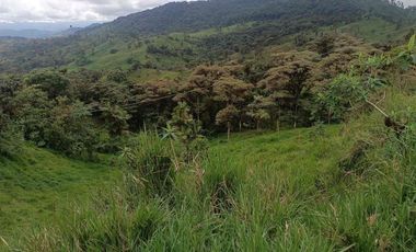 Se vende 39,5 hectáreas, Vía a Pacto, Tulipe recinto Las Tolas