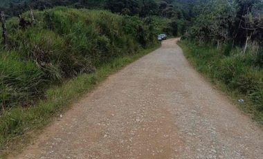 Se vende 39,5 hectáreas, Vía a Pacto, Tulipe recinto Las Tolas