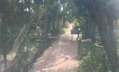 3 RECÁMARAS | 2.5 BAÑOS | TERRAZA DE EVENTOS | LOS OLIVOS 2