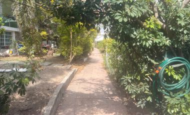 3 RECÁMARAS | 2.5 BAÑOS | TERRAZA DE EVENTOS | LOS OLIVOS 2