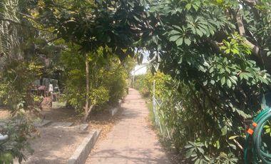 3 RECÁMARAS | 2.5 BAÑOS | TERRAZA DE EVENTOS | LOS OLIVOS 2