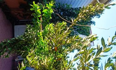 Arriendo casa de tres dormitorios en centro de Curacavi