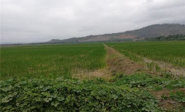 Terreno Arrocero en Venta en Rocafuerte Manabi