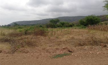 Venta de Terreno Agrícola Urbano Charapoto Manabí
