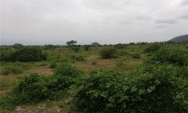 Venta de Terreno Agrícola Urbano Charapoto Manabí