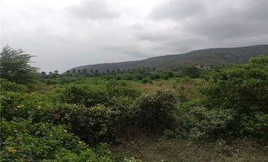 Venta de Terreno Agrícola Urbano Charapoto Manabí