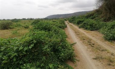 Venta de Terreno Agrícola Urbano Charapoto Manabí