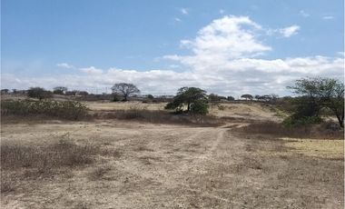Terreno en Venta en Manta Zona Sur Santa Marianita