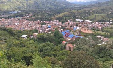 VENTA DE CASAS FINCA EN BARBOSA ANTIOQUIA.