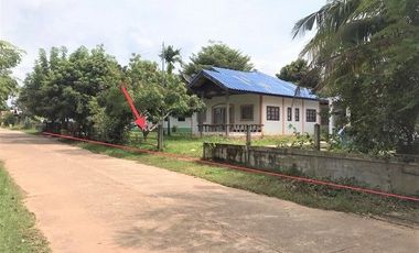 J14271 ขายบ้านเดี่ยว ตำบล นาผือ อำเภอเมืองอำนาจเจริญ อำนาจเจริญ