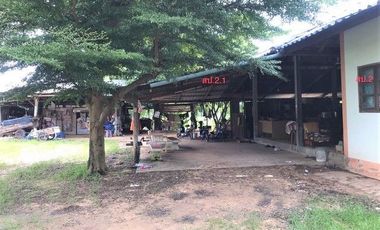J14271 ขายบ้านเดี่ยว ตำบล นาผือ อำเภอเมืองอำนาจเจริญ อำนาจเจริญ