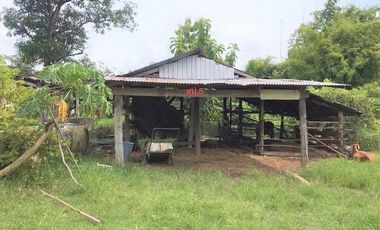 J14271 ขายบ้านเดี่ยว ตำบล นาผือ อำเภอเมืองอำนาจเจริญ อำนาจเจริญ