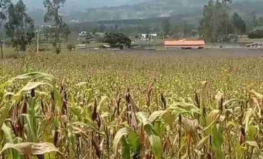 terreno plano área de 2.800 metros en patalanga otavalo Imbabura Ecuador