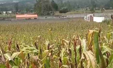 terreno plano área de 2.800 metros en patalanga otavalo Imbabura Ecuador