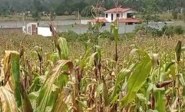 terreno plano área de 2.800 metros en patalanga otavalo Imbabura Ecuador