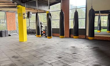 EDIFICIO RENTERO EN VENTA ARGELIA LOJA