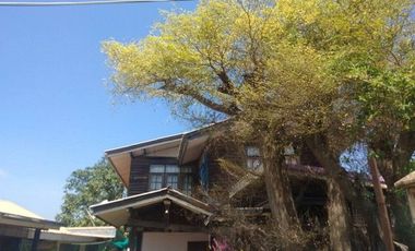 J68728 ขายบ้านเดี่ยว ตำบลหนองนาแซง อำเภอเมืองชัยภูมิ ชัยภูมิ