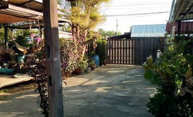J68728 ขายบ้านเดี่ยว ตำบลหนองนาแซง อำเภอเมืองชัยภูมิ ชัยภูมิ