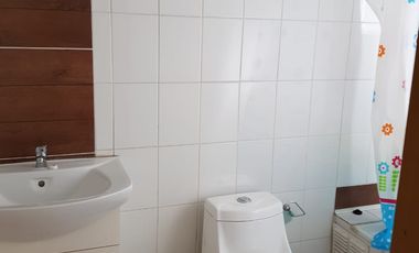 Bosques de San Francisco, Rancagua