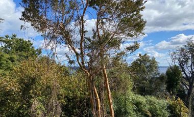 Espectacular parcela con acceso al lago