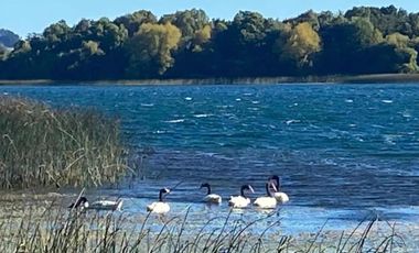 Espectacular parcela con acceso al lago