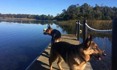 Espectacular parcela con acceso al lago