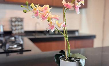 ¡Renta departamento a pasos del mar y la cultura en el corazón de Boca del Río!