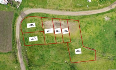 VENTA DE 6 LOTES EN EL VALLE - EXCELENTE UBICACION